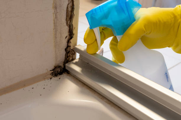 Best Residential Mold Inspection & Testing  in Harvard, NE